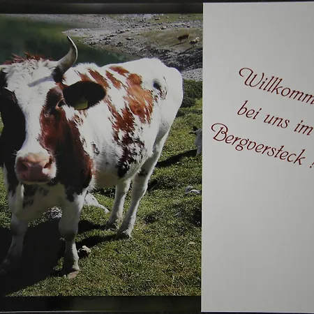 Апартаменты Bergversteck